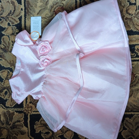 NWT Carter's light pink special occasion baby dress size 12 mos - Picture 8 of 11
